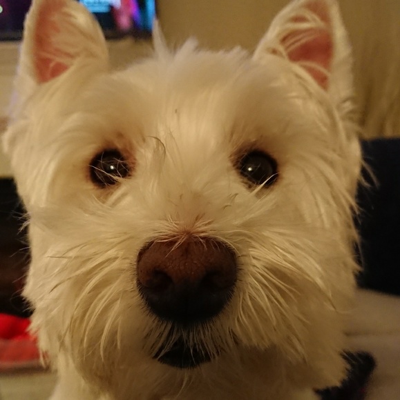 Meet your Posher, Kendrianne - Picture 1 of 1